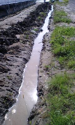 f0122259_23233240.jpg