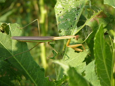 e0181260_2334312.jpg