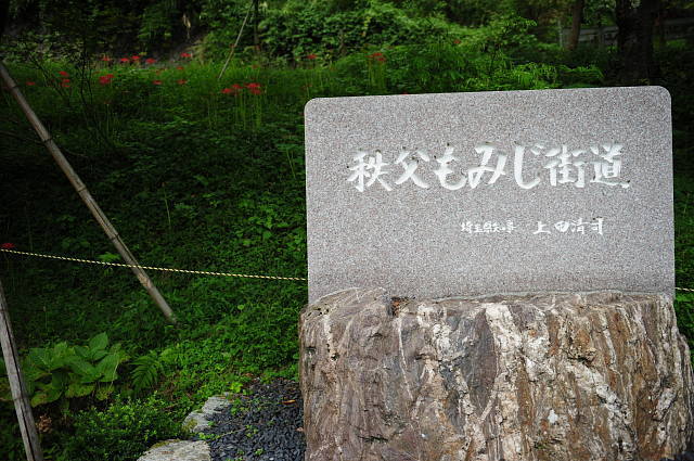 f0222161_22285124.jpg