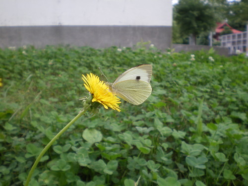 f0226161_18101514.jpg