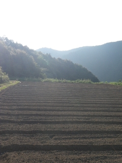 f0055264_2355156.jpg