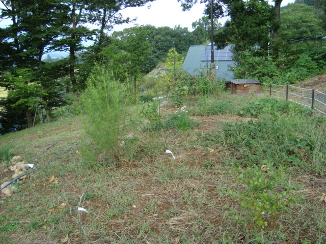 d0152765_18213910.jpg