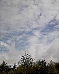 a0050669_13113871.jpg