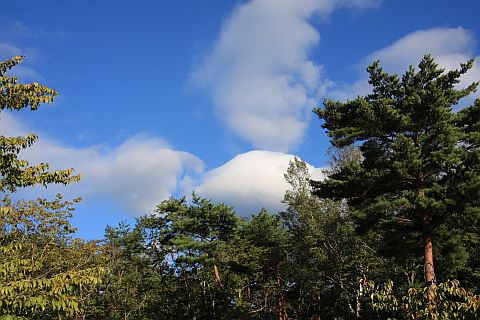 f0047773_2233157.jpg