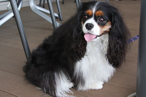 f0047773_2244278.jpg