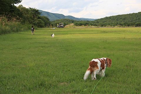 f0047773_22471116.jpg