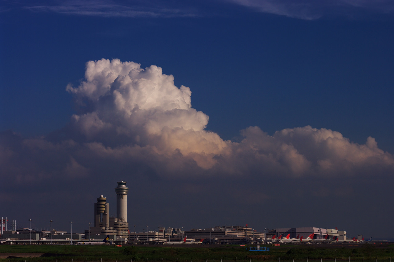 f0058275_1459019.jpg