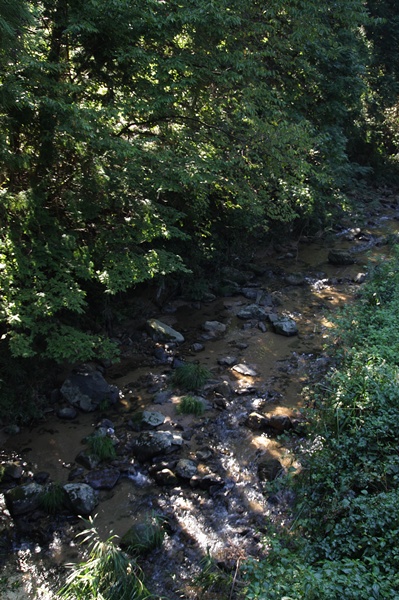 c0167576_5461925.jpg