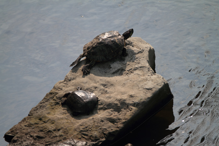 c0008378_1817595.jpg