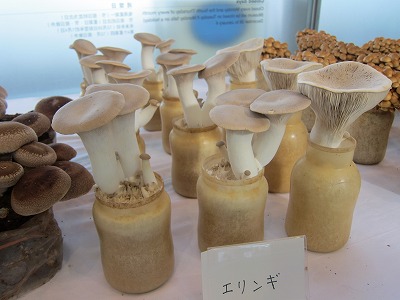 c0131478_21561188.jpg