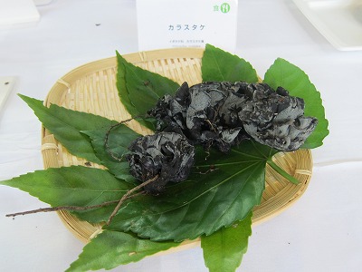 c0131478_21565439.jpg