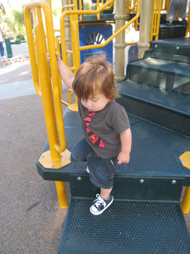f0068883_1404485.jpg