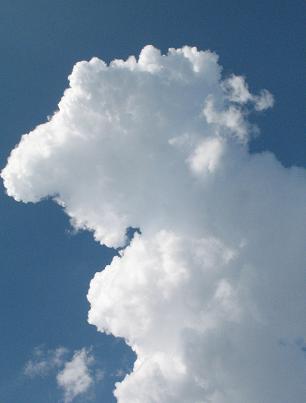 e0130185_17165914.jpg