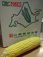 f0069890_014171.jpg