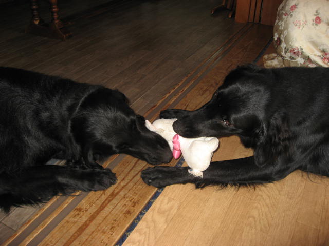 e0140491_1381515.jpg