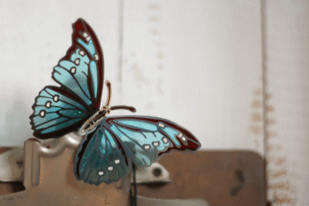 d0100192_22343626.gif