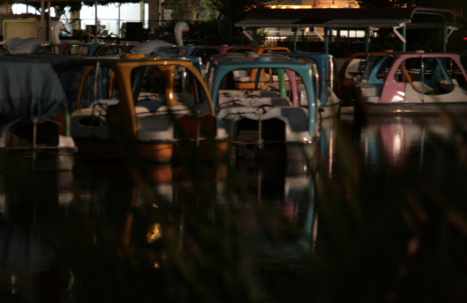 d0133693_23151198.jpg