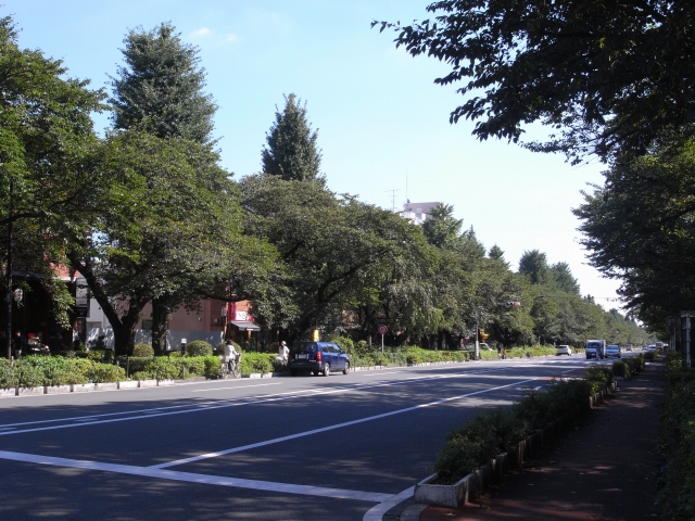 e0152493_16193643.jpg