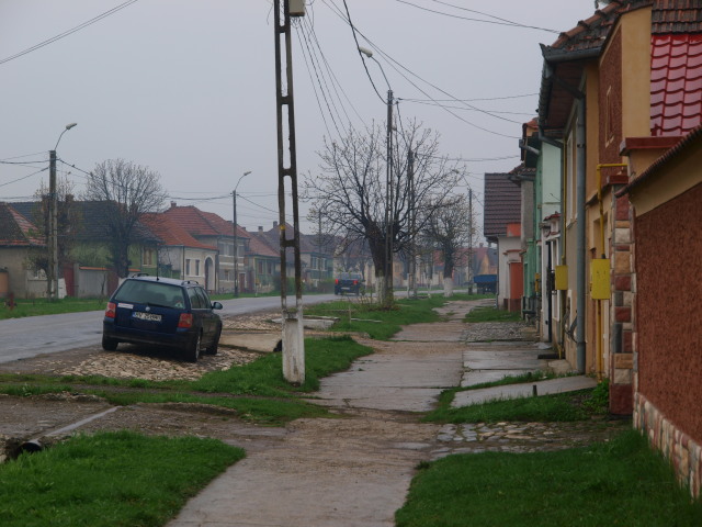 a0159697_2016431.jpg