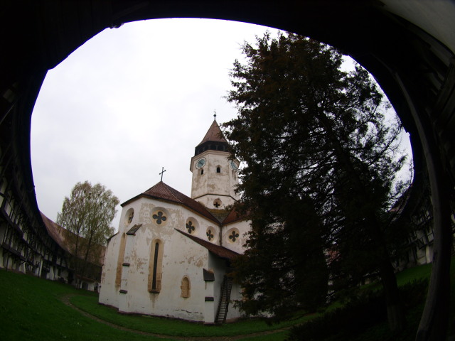a0159697_20203780.jpg