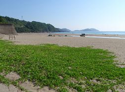 a0125598_10275531.jpg
