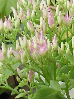 c0208099_11719.jpg