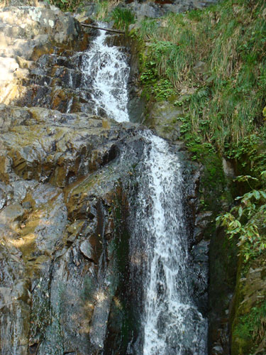 a0047200_17172391.jpg