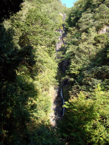 a0047200_17172784.jpg