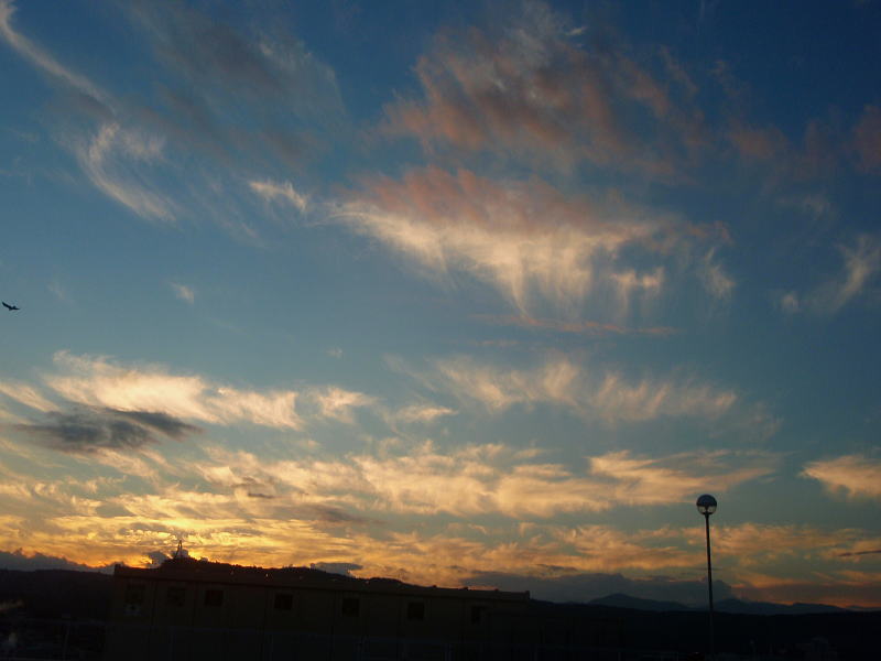 b0055202_19124045.jpg