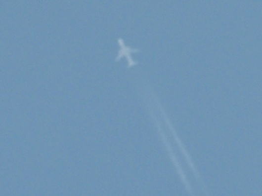 b0055202_1965066.jpg