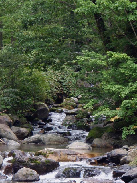 d0161702_9361637.jpg