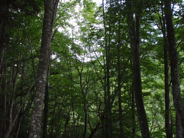 d0161702_936644.jpg