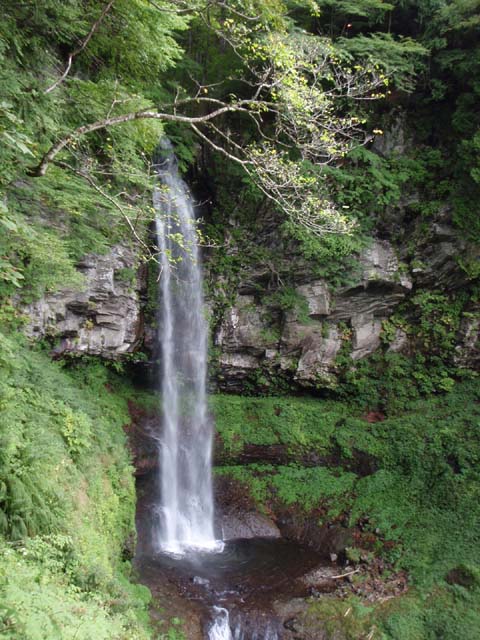 d0161702_936840.jpg