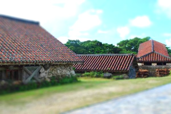 d0089706_1414133.jpg
