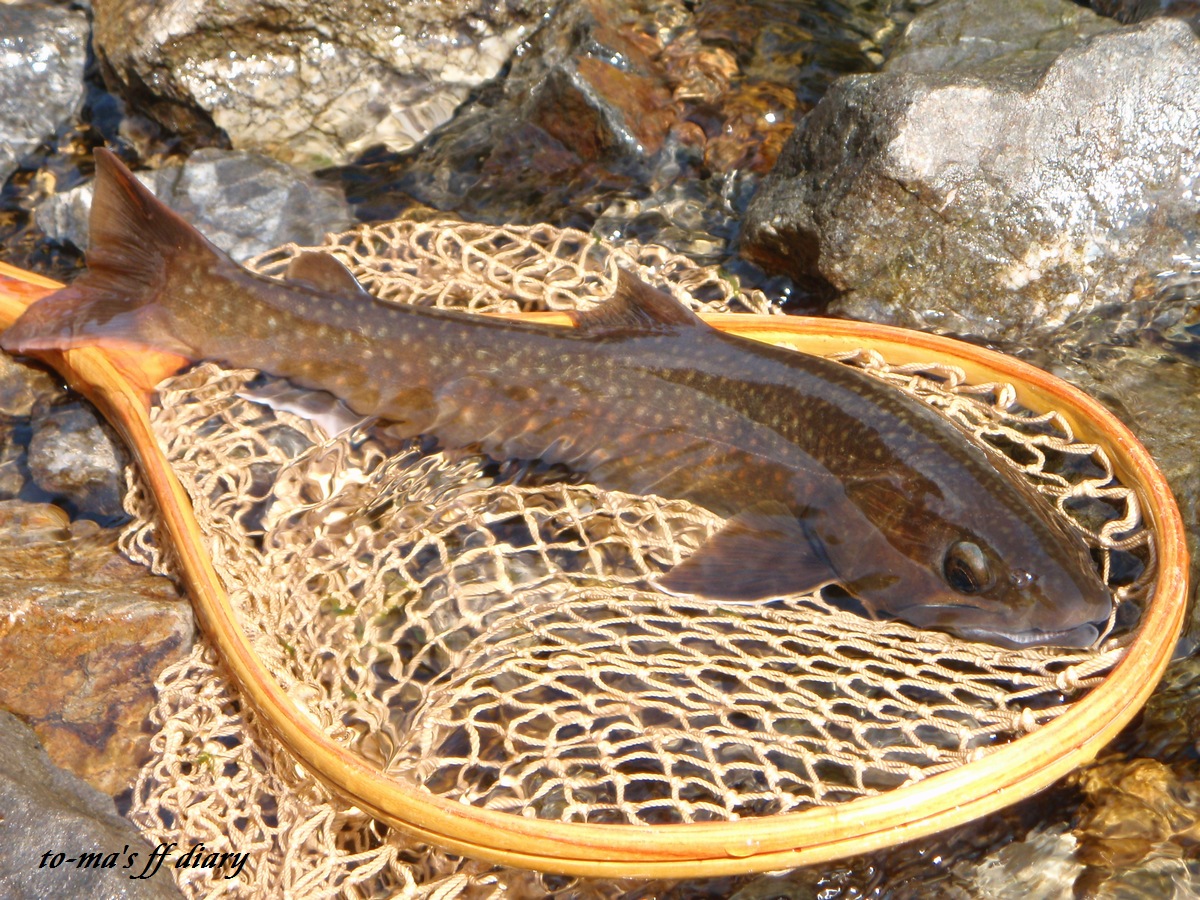 f0137709_2312762.jpg