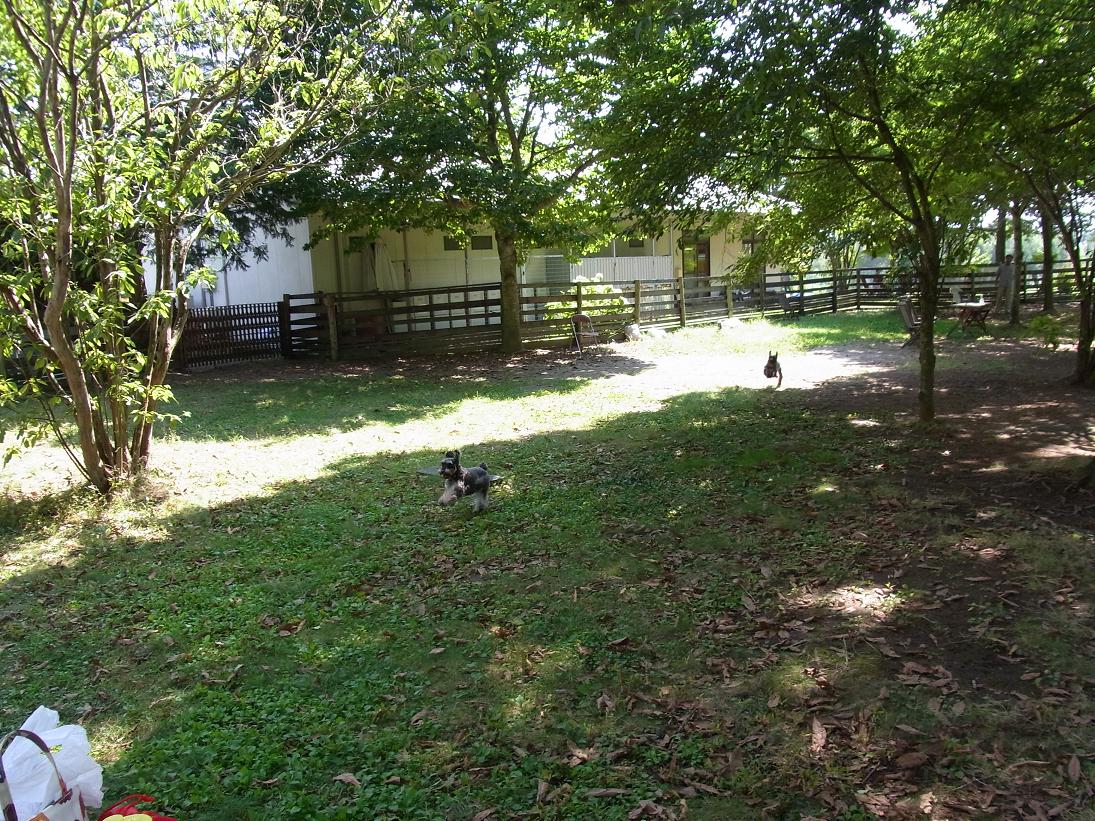 f0179209_1159411.jpg