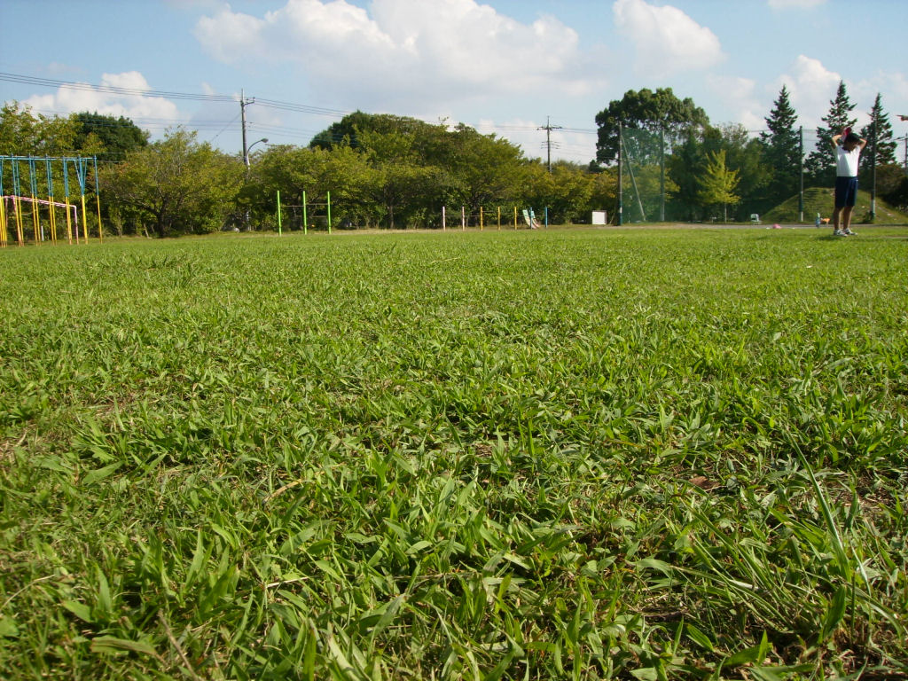 f0208812_1146555.jpg