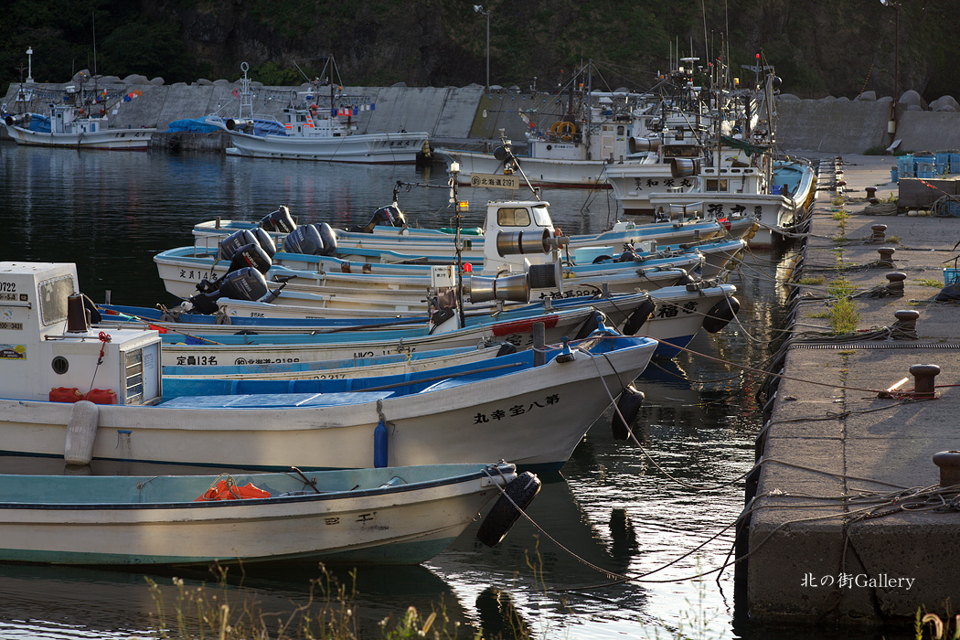 c0073613_0333655.jpg