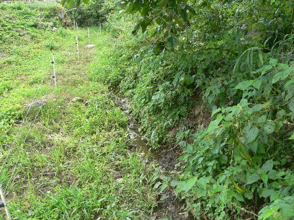 e0002314_21143518.jpg