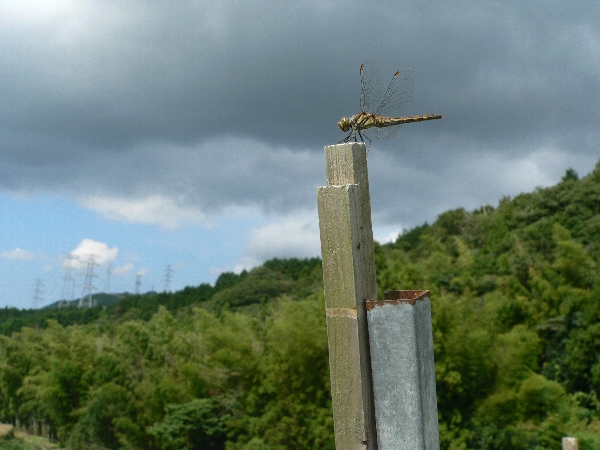 e0002314_21205810.jpg