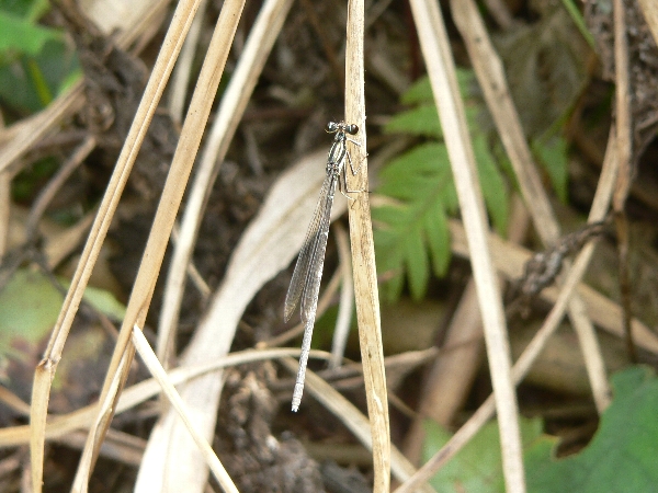 e0002314_21213038.jpg
