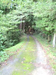 e0097615_15262967.jpg