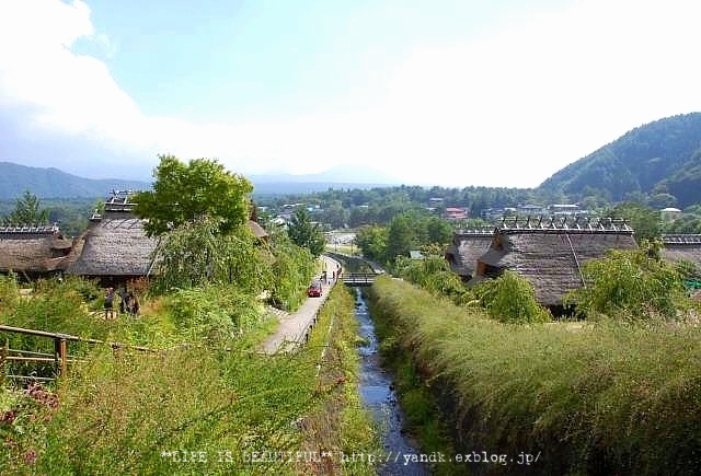 d0083623_23305237.jpg