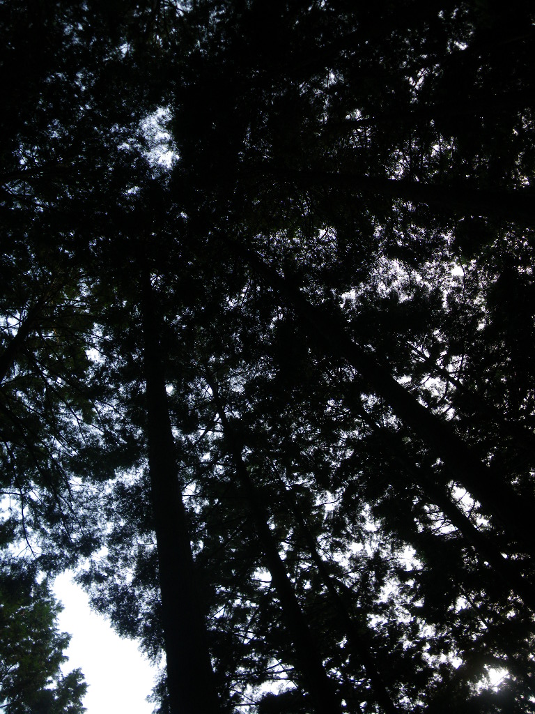 c0189724_00286.jpg