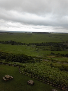 a0126128_1654924.jpg