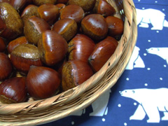c0188928_16343268.jpg