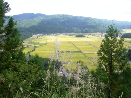 c0210838_2219672.jpg