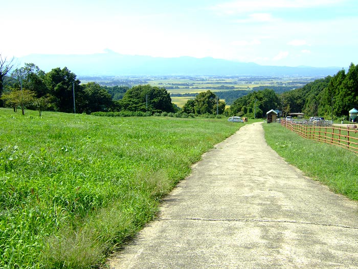 e0006242_1738185.jpg