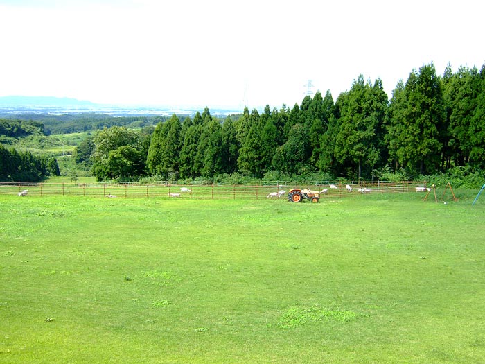 e0006242_1738432.jpg