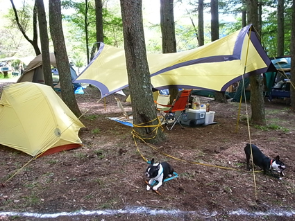 f0155342_21225044.jpg